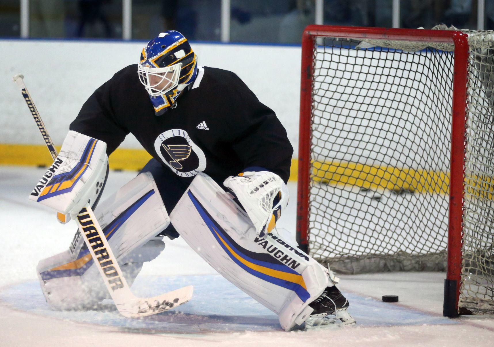 St. Louis Blues 2018-19 training camp